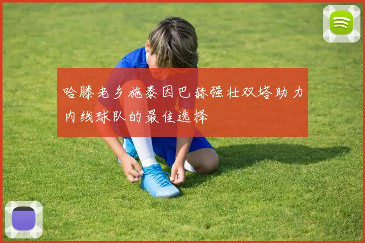 哈滕老乡施泰因巴赫强壮双塔助力内线球队的最佳选择